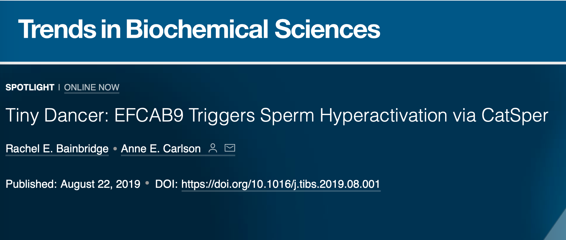 Screen Shot 2019-09-02 at 1.17.19 PM.png