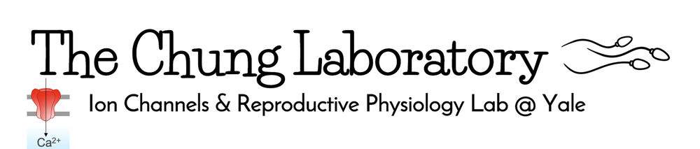 The Chung Lab @ Yale