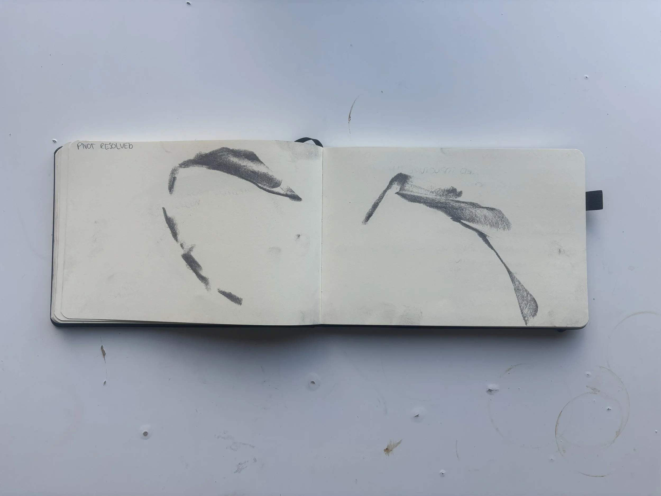 uc landscape copy.jpg