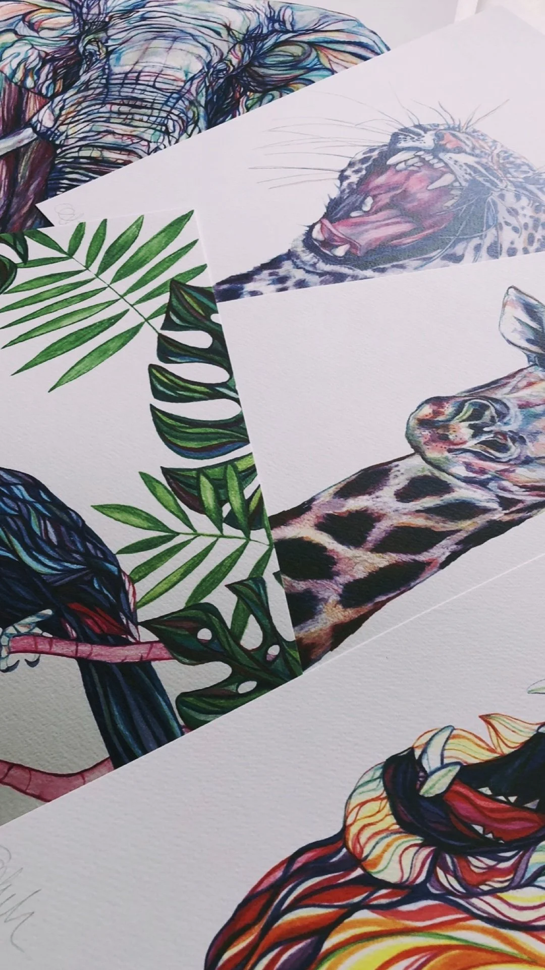 Print Bundle // DROP 01