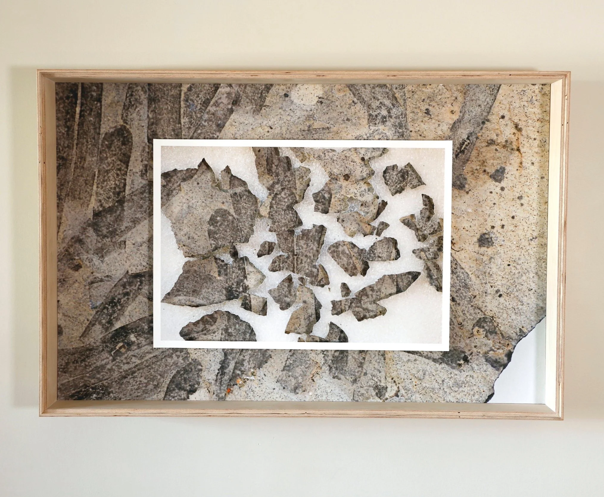 Porifera Screen