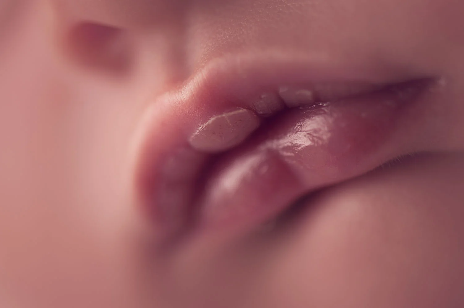 bornarchivalco_newborn27.jpg