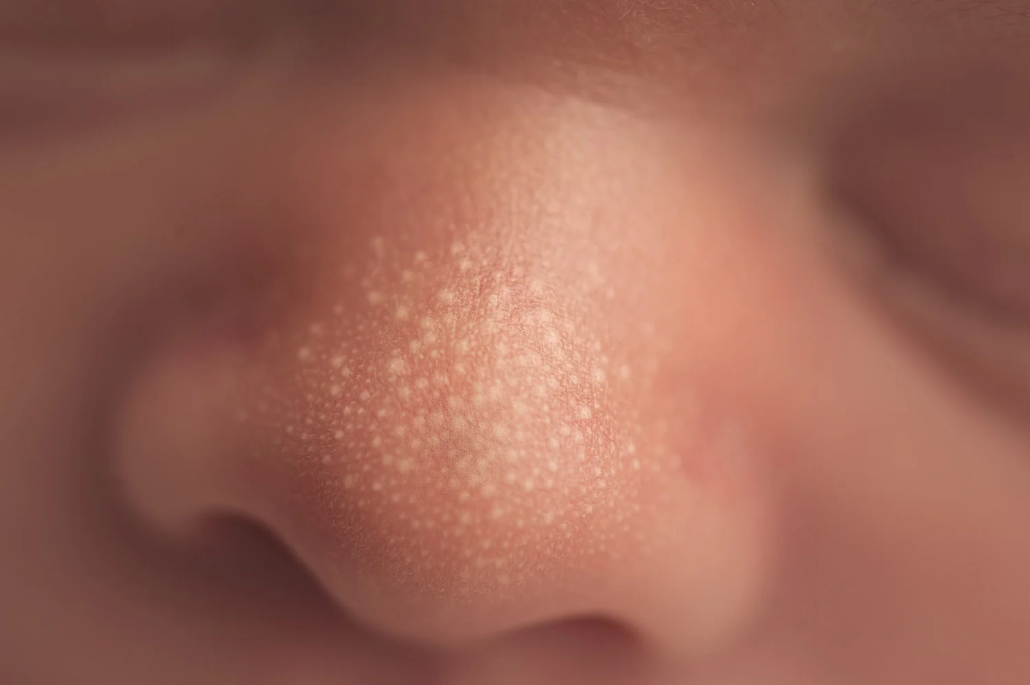 madisonnewbornbabyphotography13.jpg
