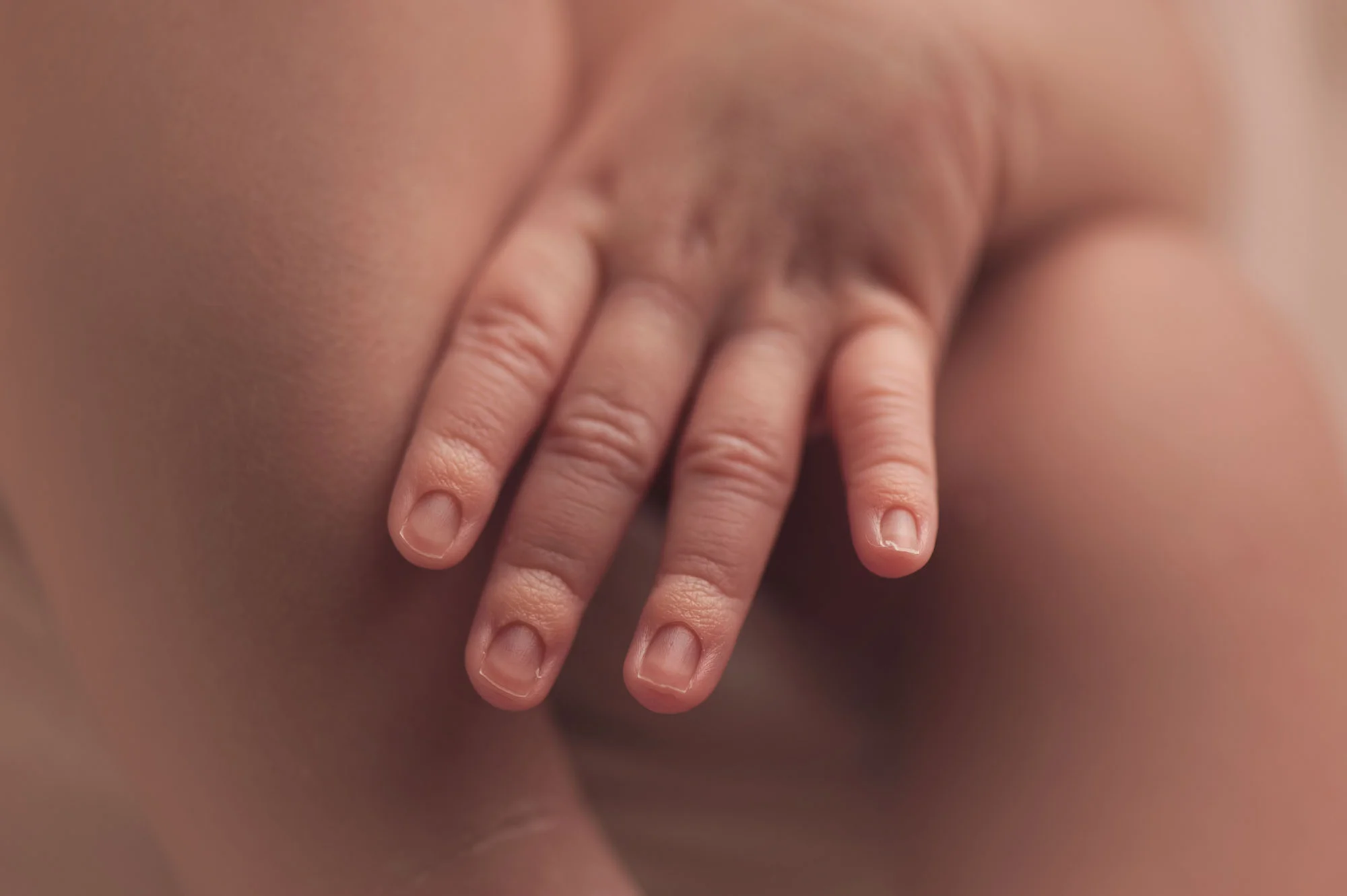madisonwi_newbornphotographerbaby63.jpg