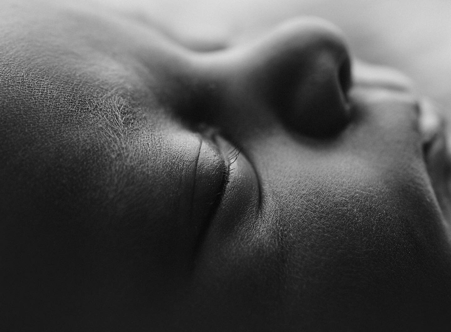 The best way to get this shot is with baby wrapped in a prop.  You can move the prop around and get the light just right.  Plus when a newborn is on their back it is much easier to keep them calm if they are wrapped.  Light is on other side of baby o