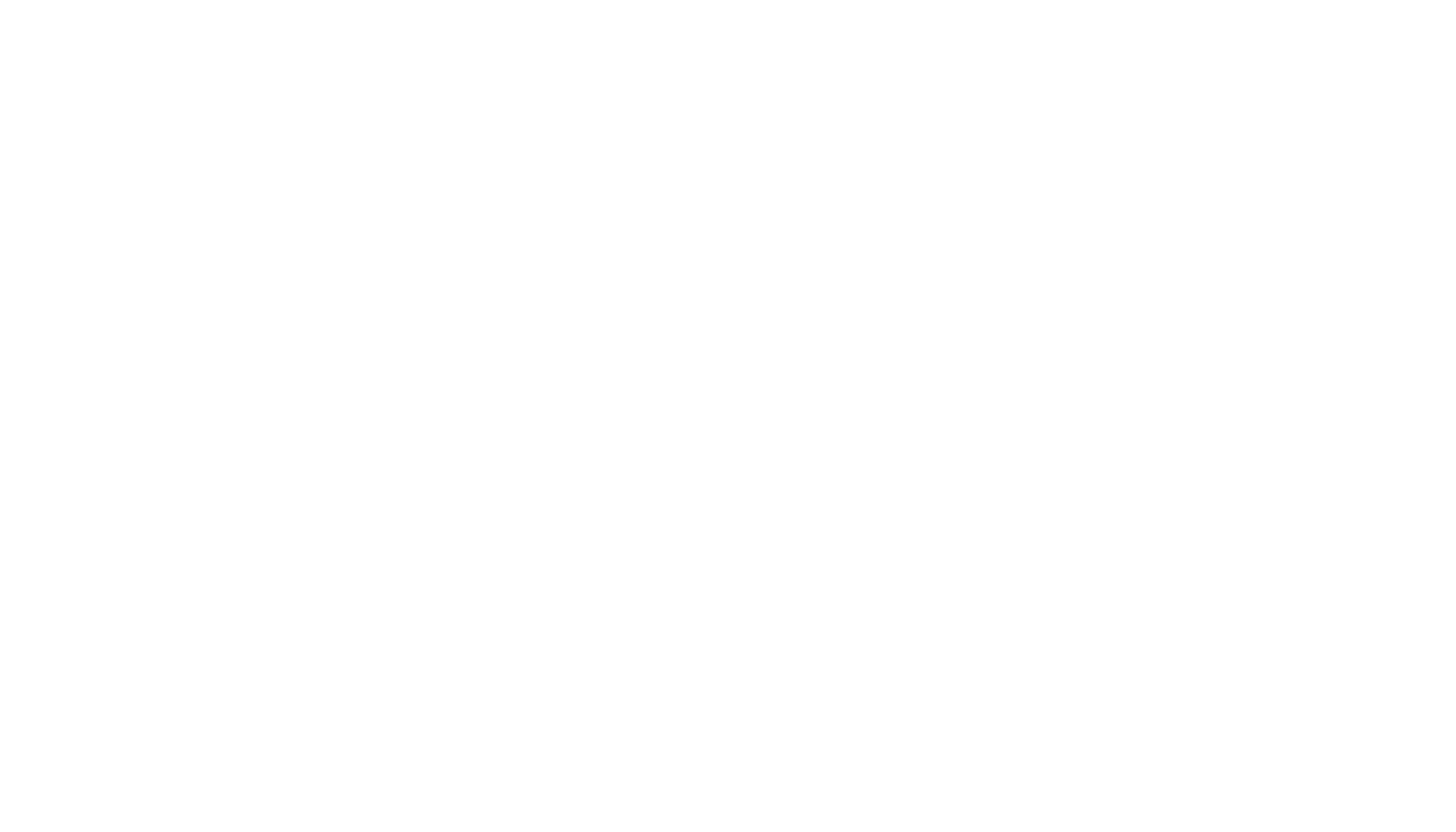 Born Archival Co. 