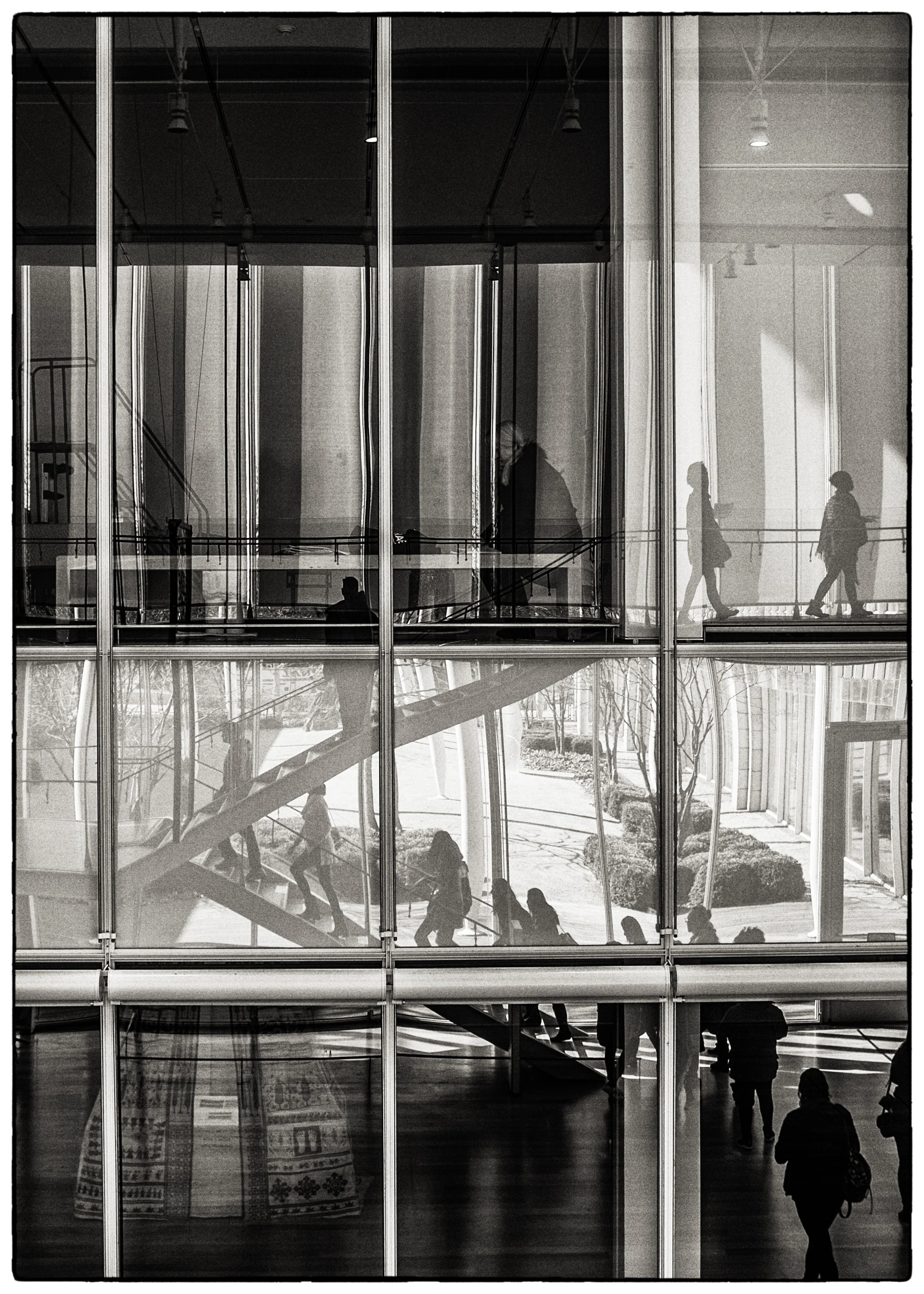 MARK7264-Edit-Edit.jpg