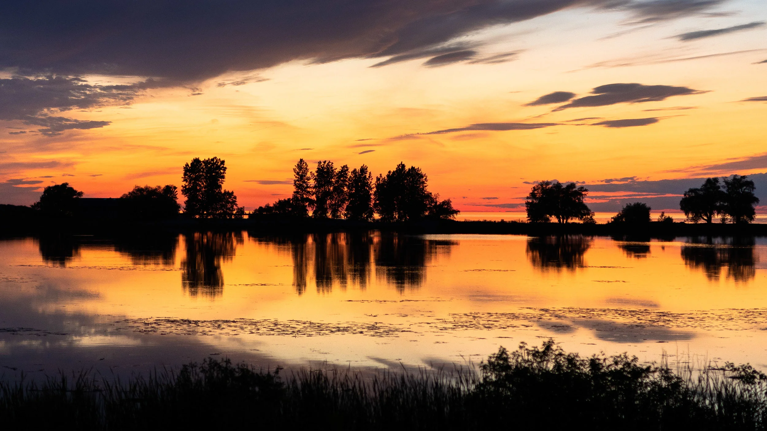_MG_5276.jpg