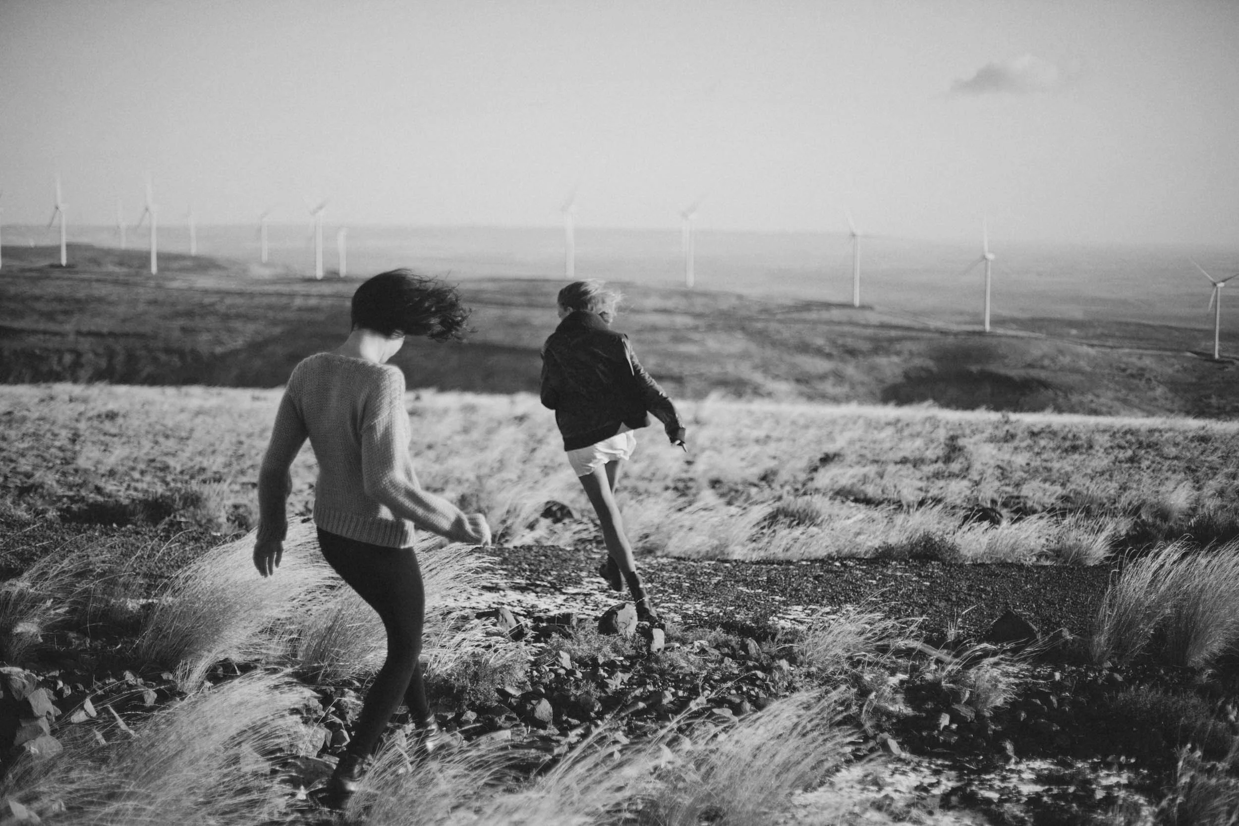 windswept014-copy.jpg