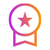 audit icon