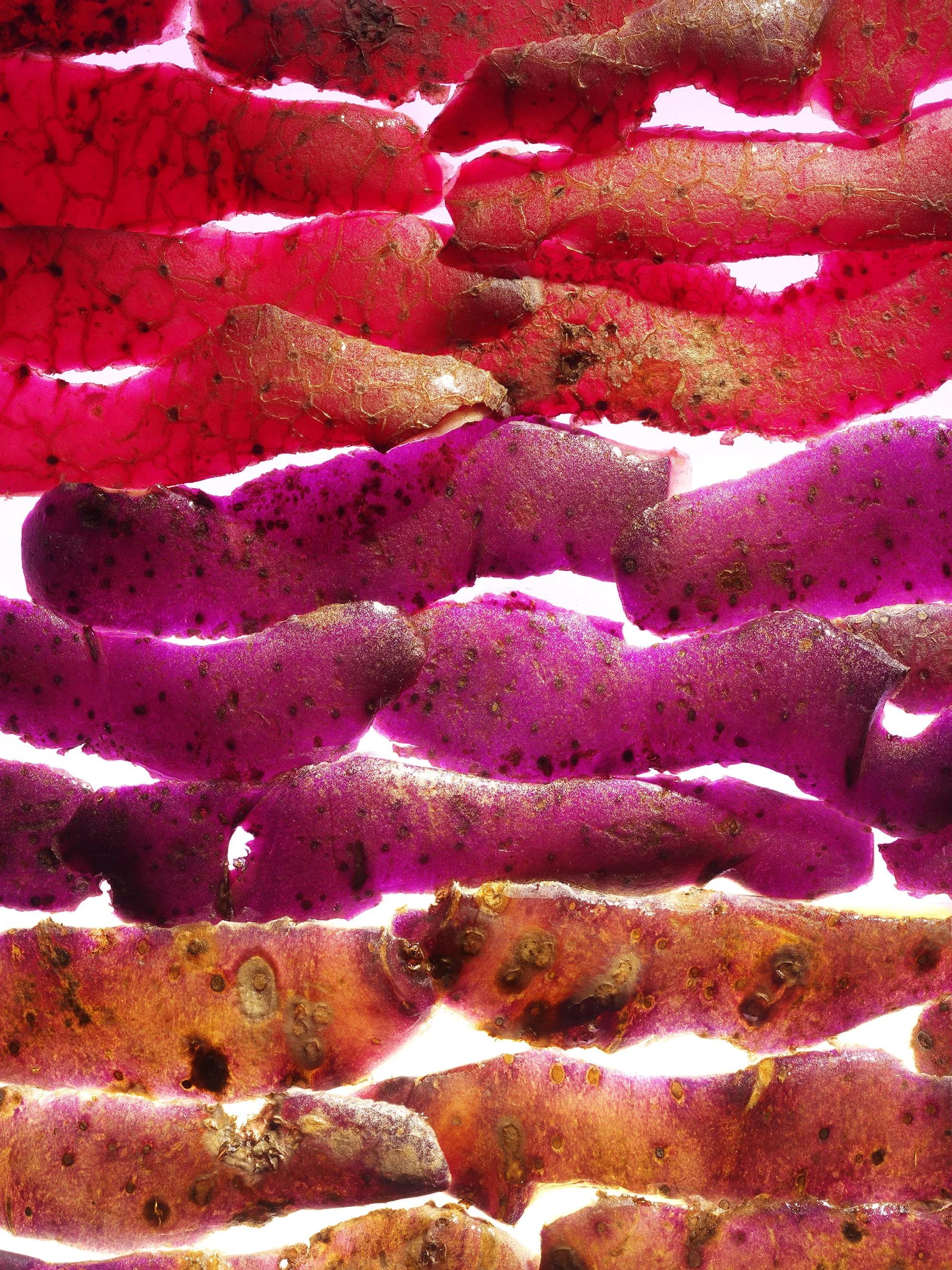 Hilary Moore Food Photography Potato Skins