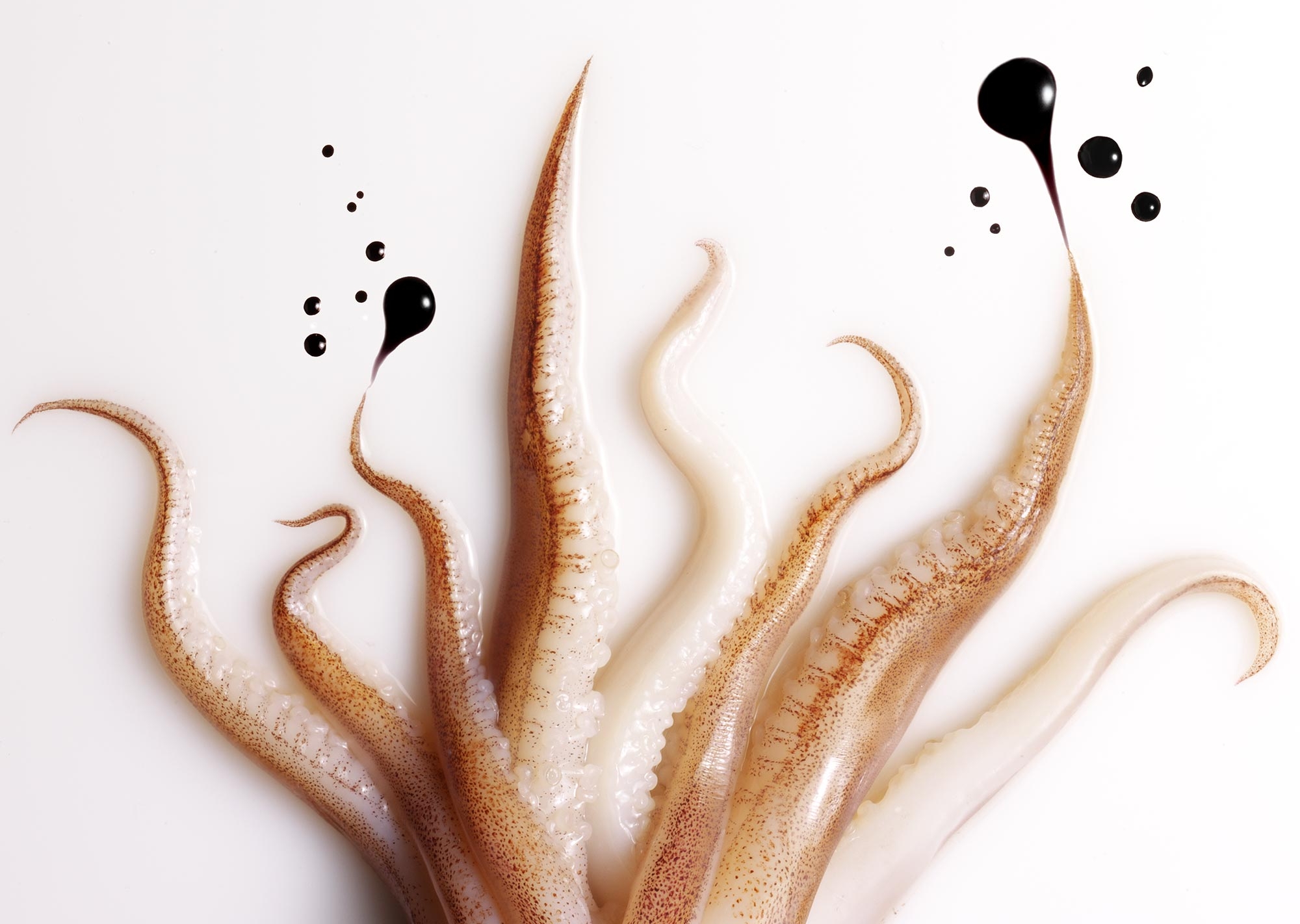 Hilary Moore Food Photography Squid