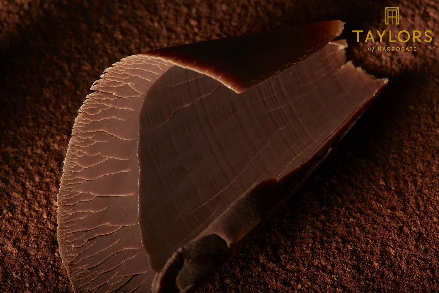 Chocolate curl.jpg