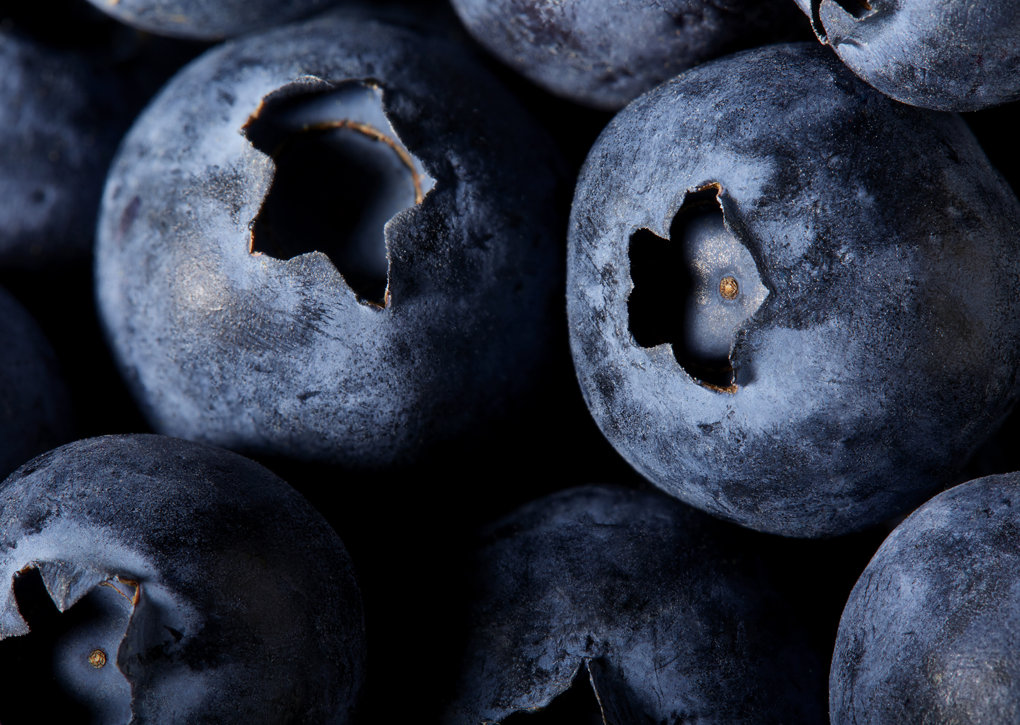 Hilary-Moore-Food-Photography-blueberries-slideshow.jpg