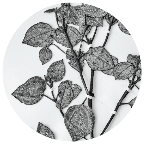 herb_circle-3_500x500.png