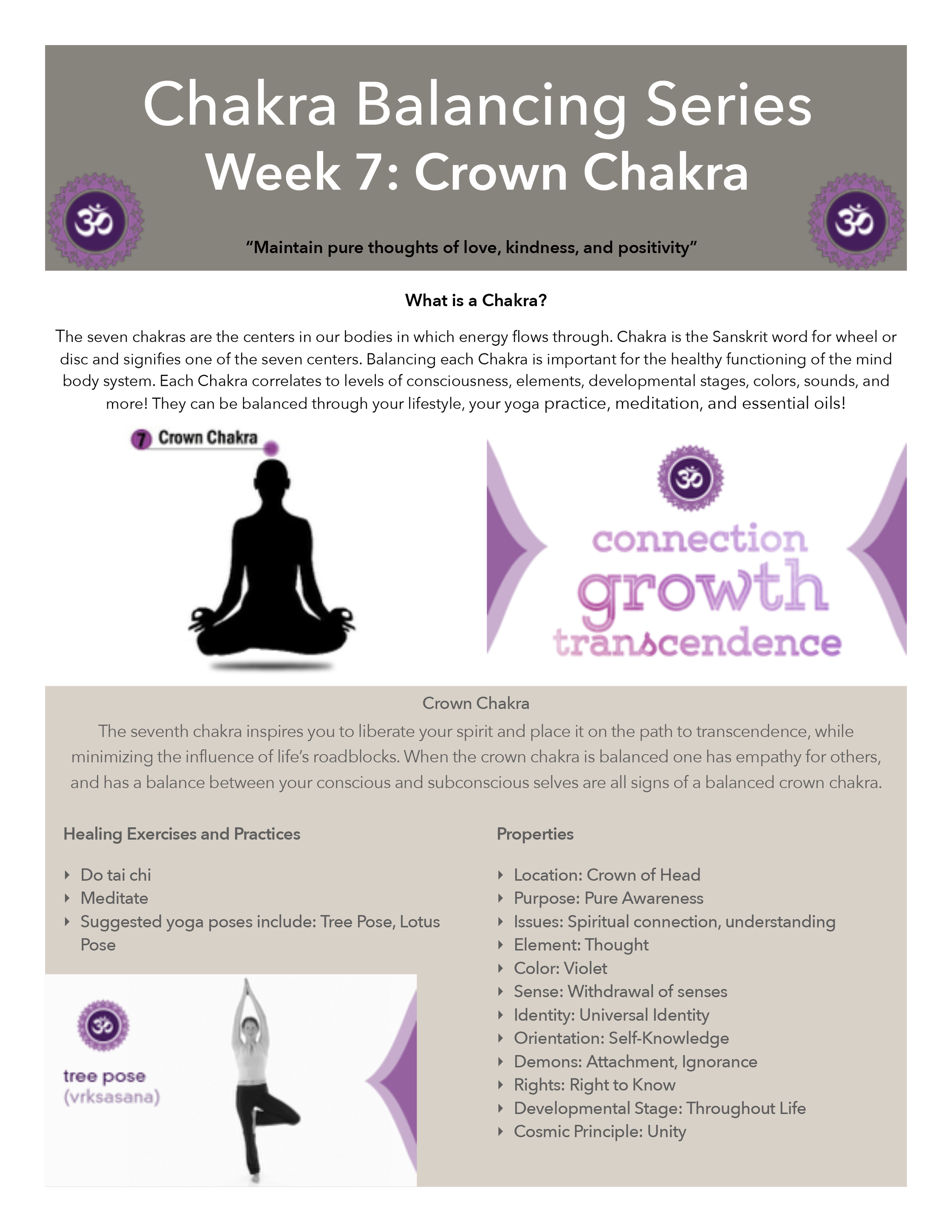 Crown Chakra — BEYOND ZEN STUDIO Crown Chakra — BEYOND ZEN STUDIO