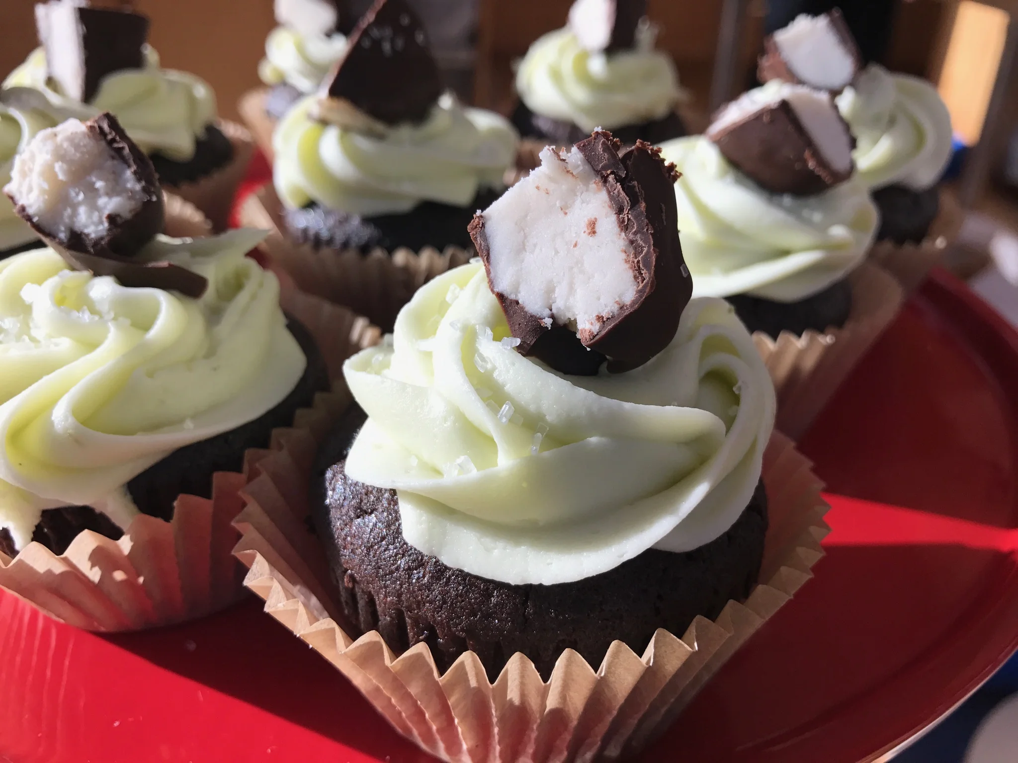 Dark Bittersweet Chocolate Cupcakes, Avocado Minted Buttercreme Icing