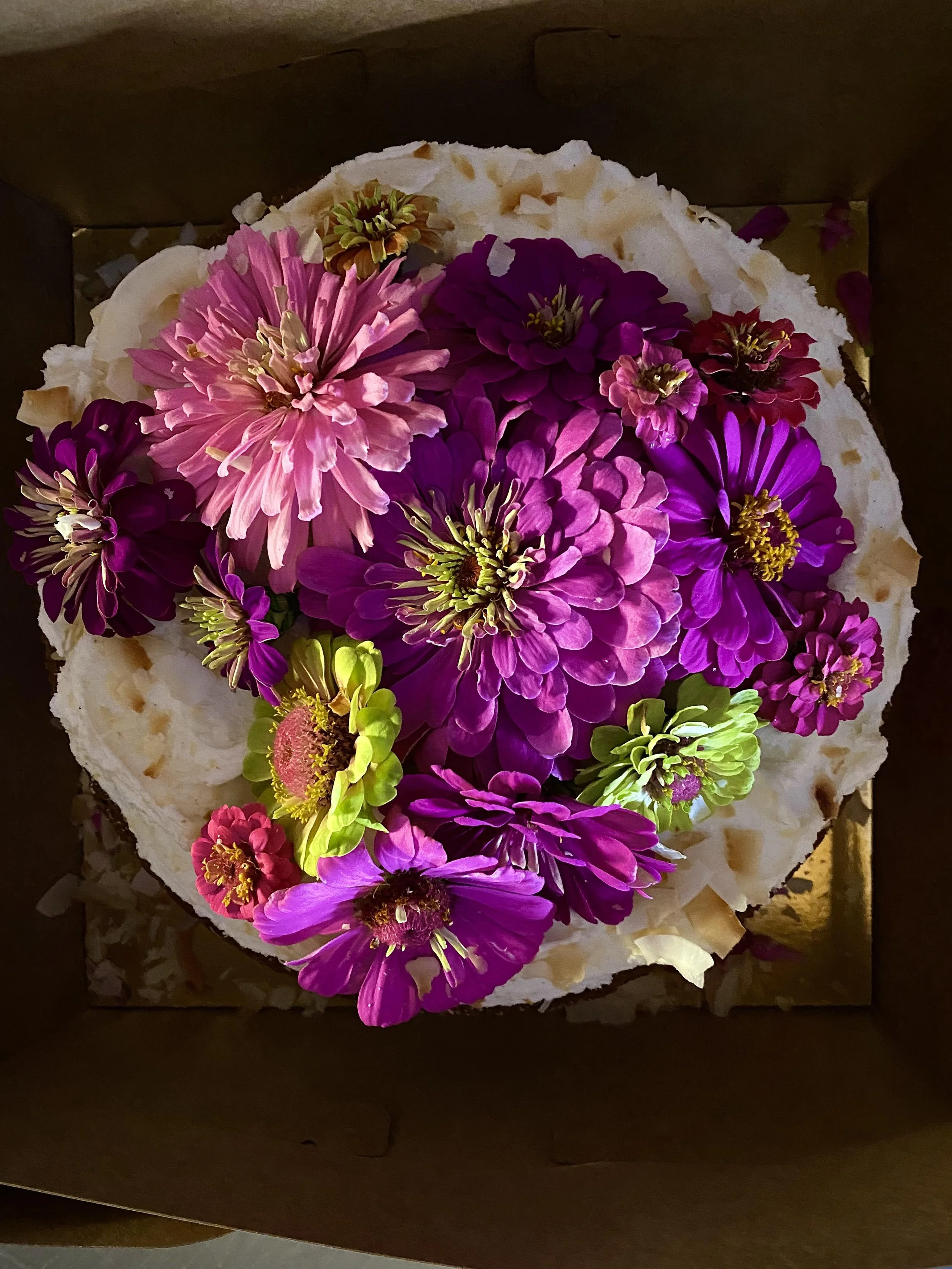 CAKE January 2023.jpeg