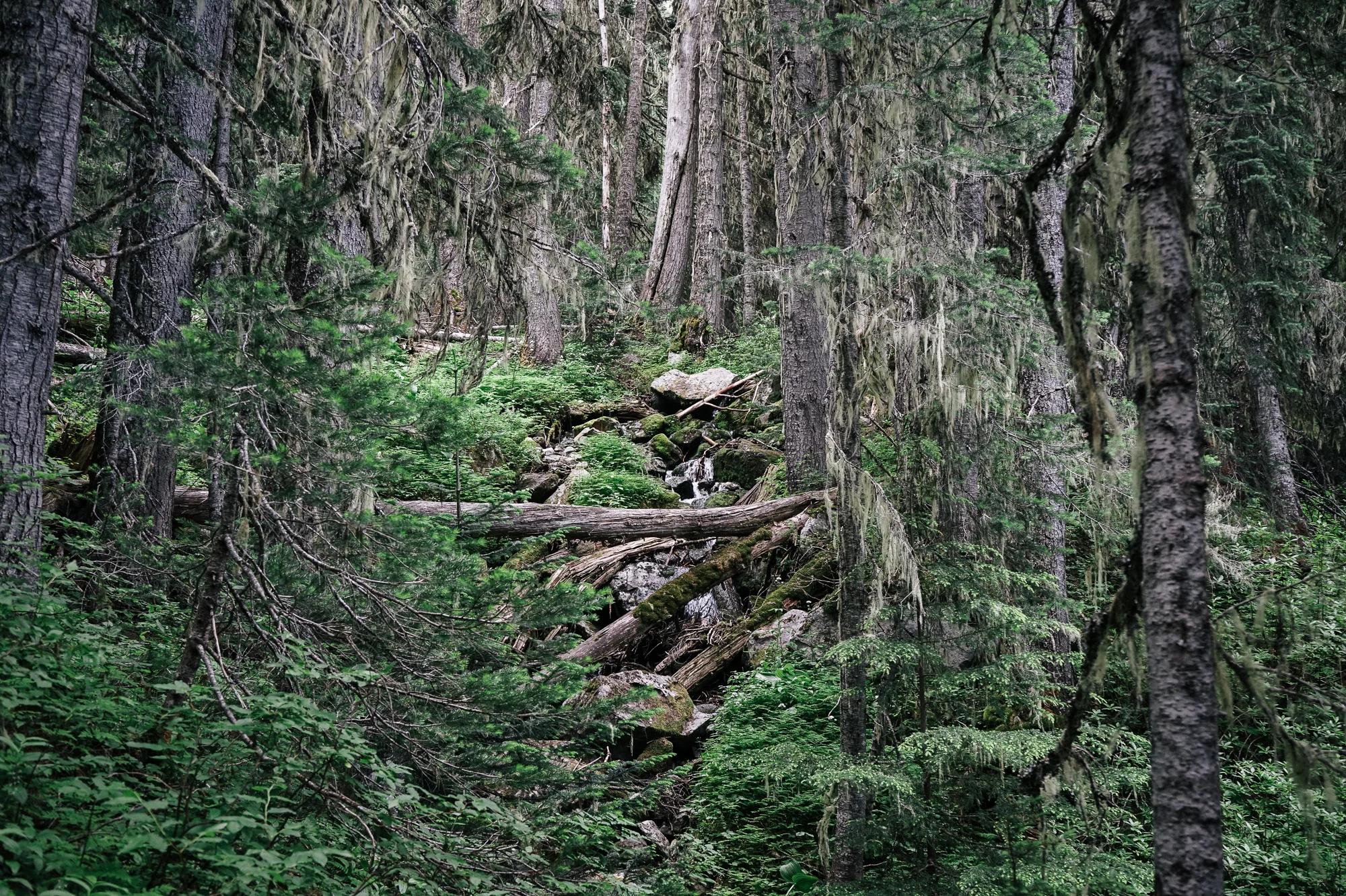 40Hikes-02576.jpg