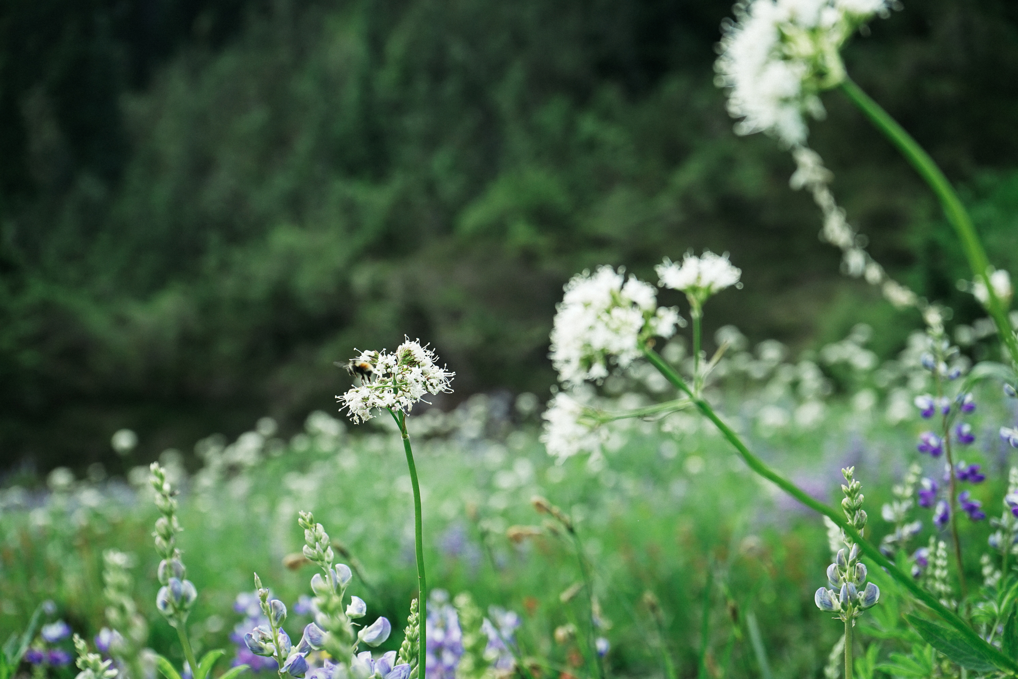 untitled-02694.jpg