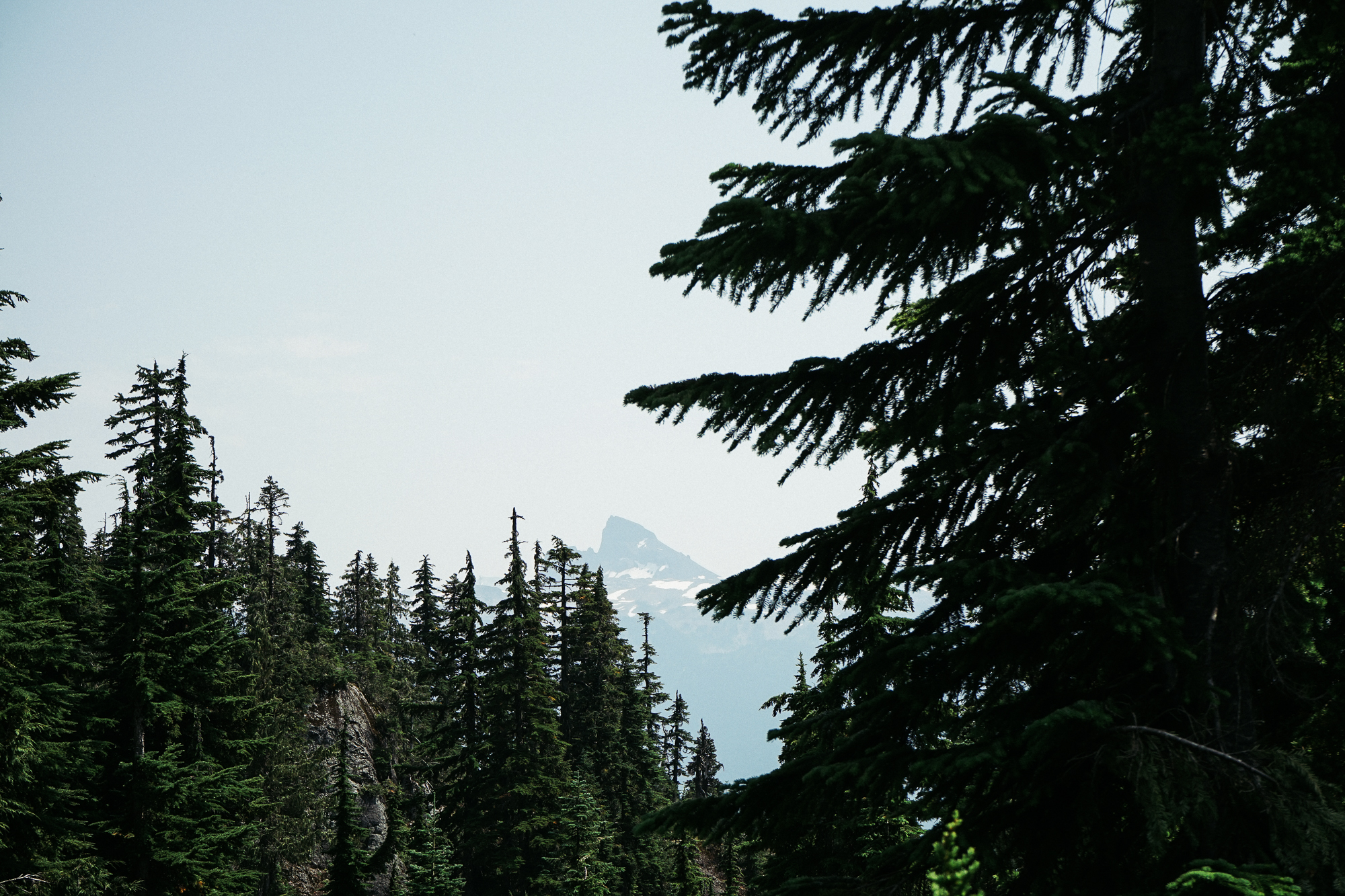 untitled-02711.jpg