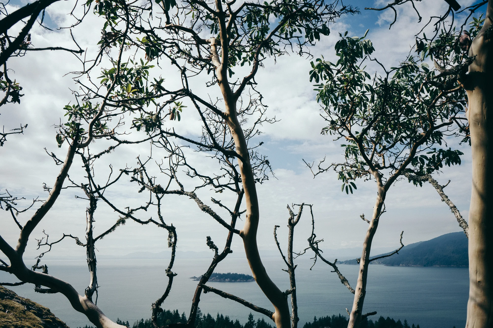 untitled-03881.jpg