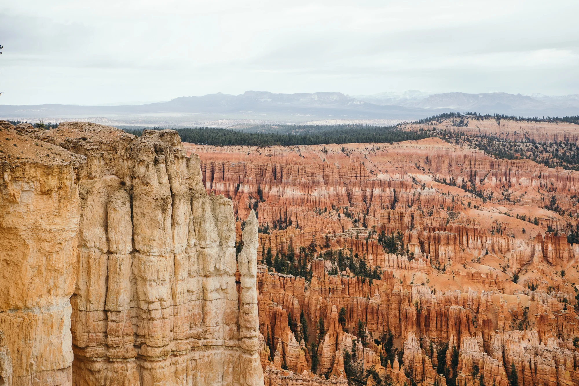 Bryce-05759.jpg