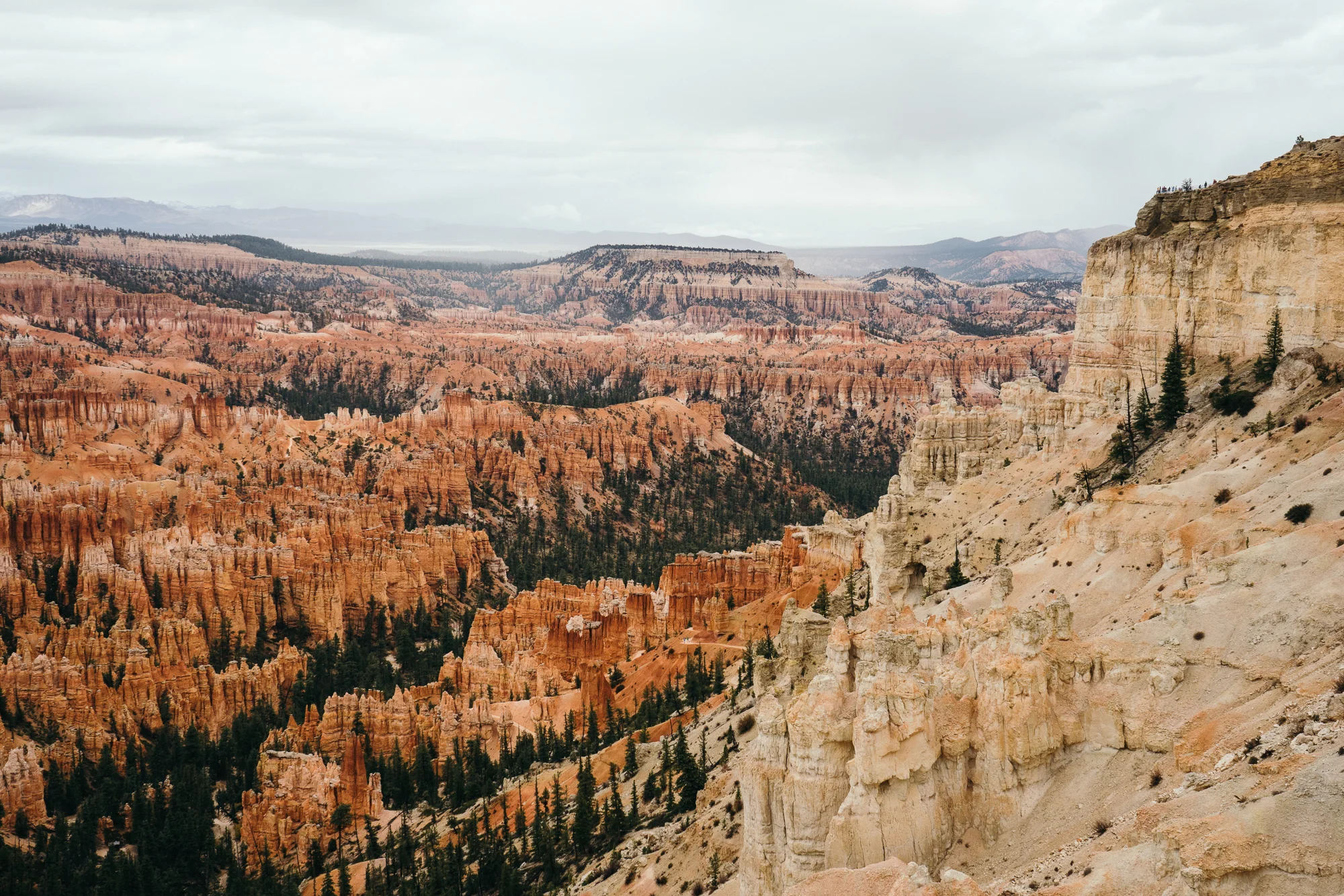 Bryce-05753.jpg