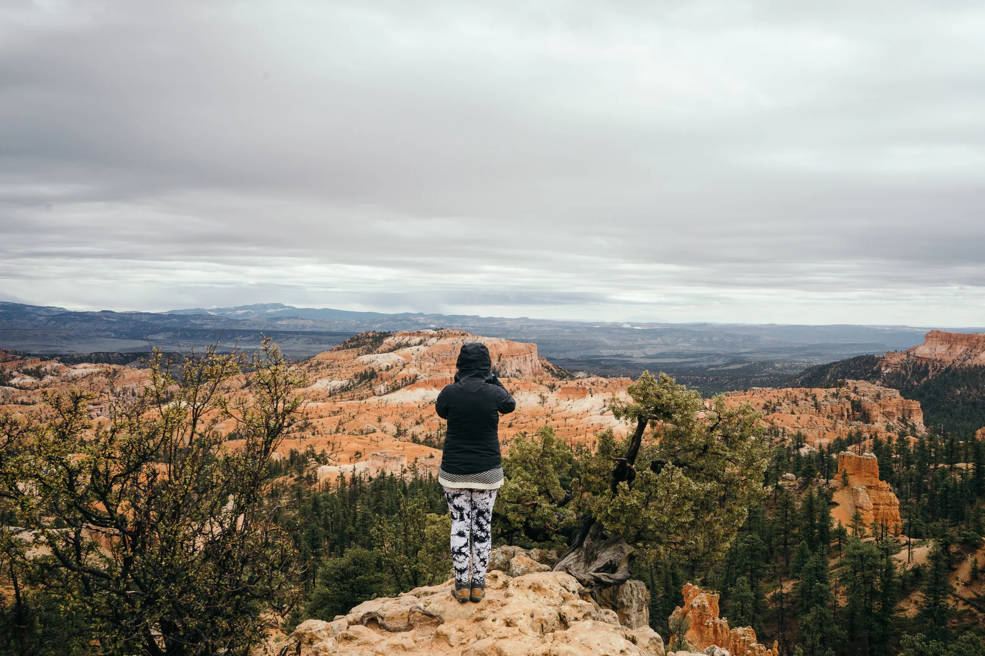 Bryce-05731.jpg