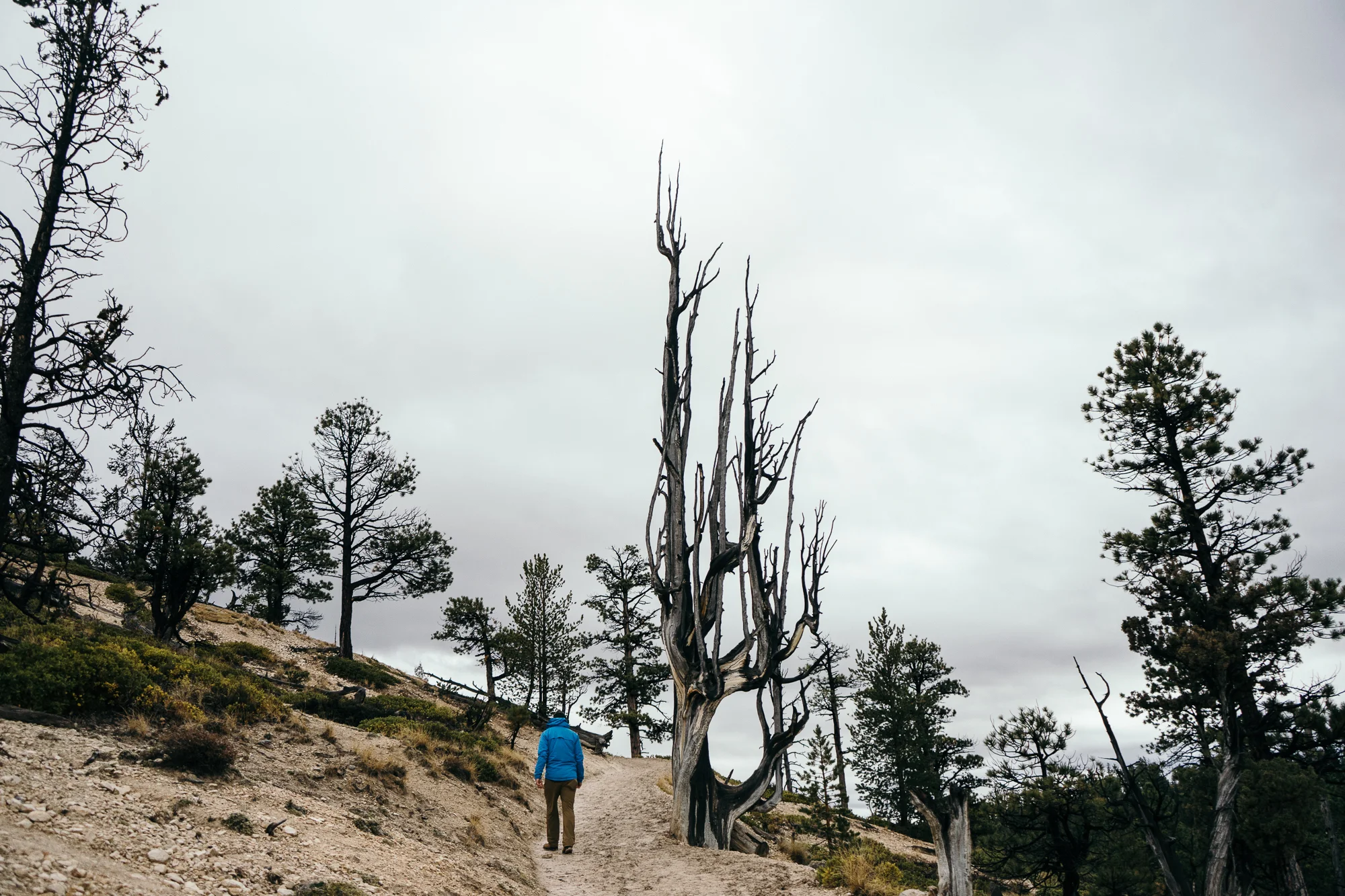 Bryce-05766.jpg