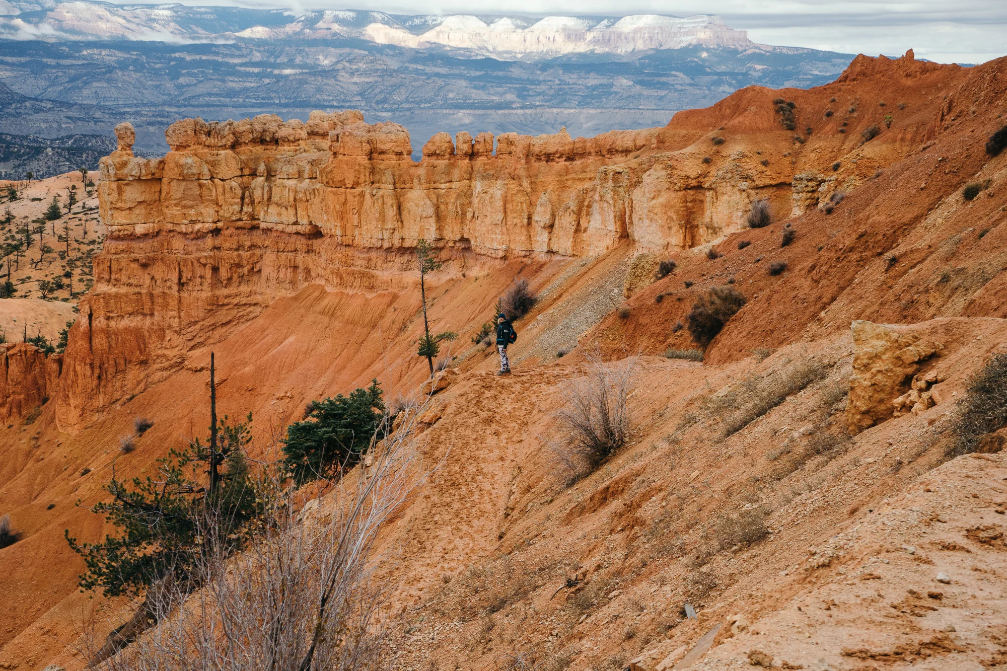 Bryce-05839.jpg