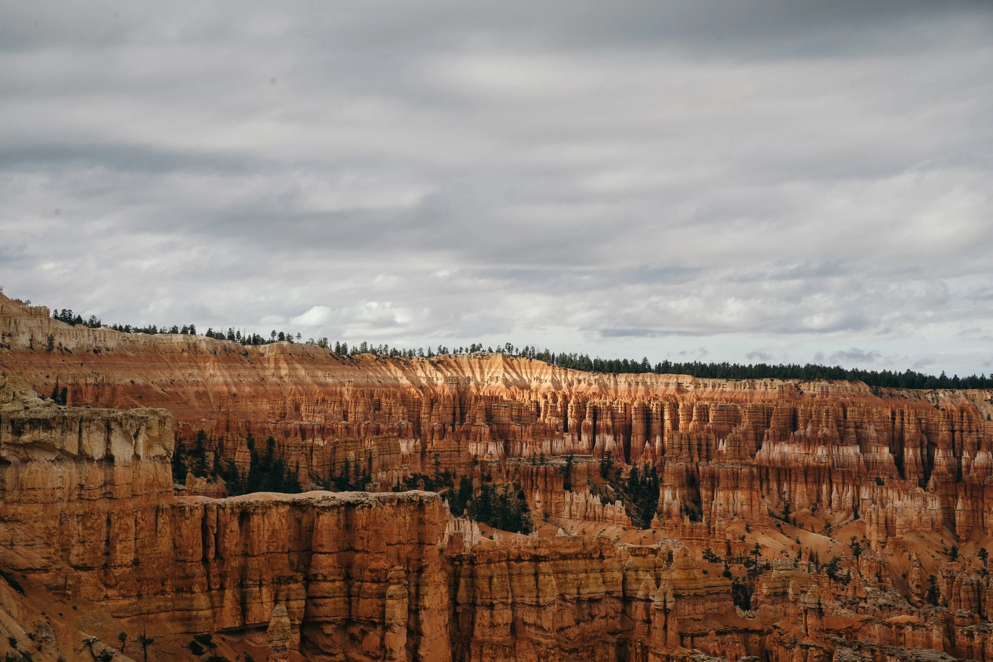 Bryce-05892.jpg