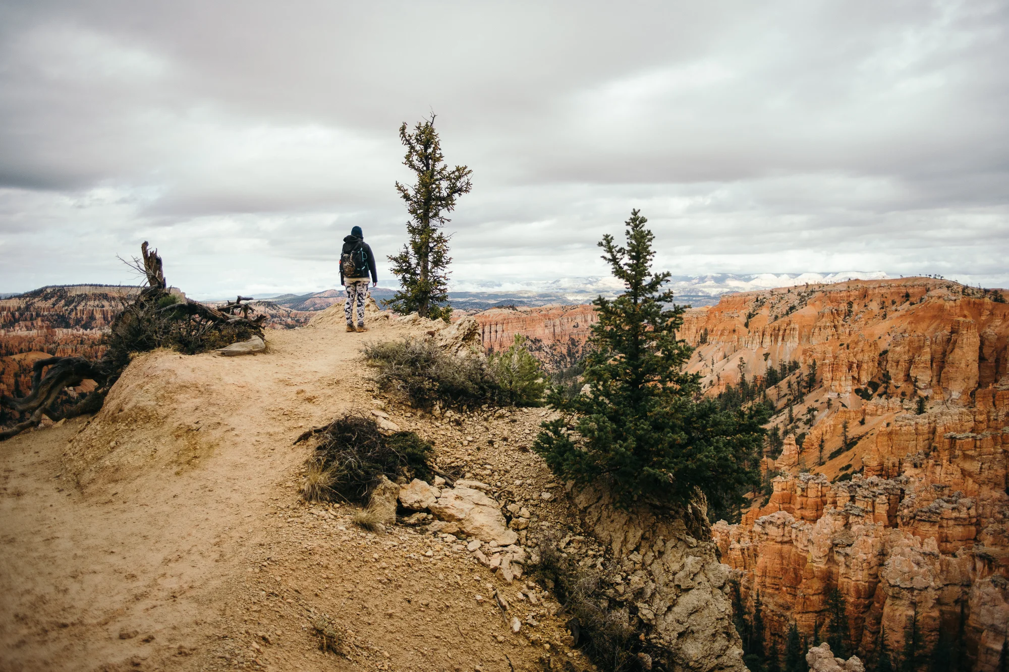 Bryce-05915.jpg