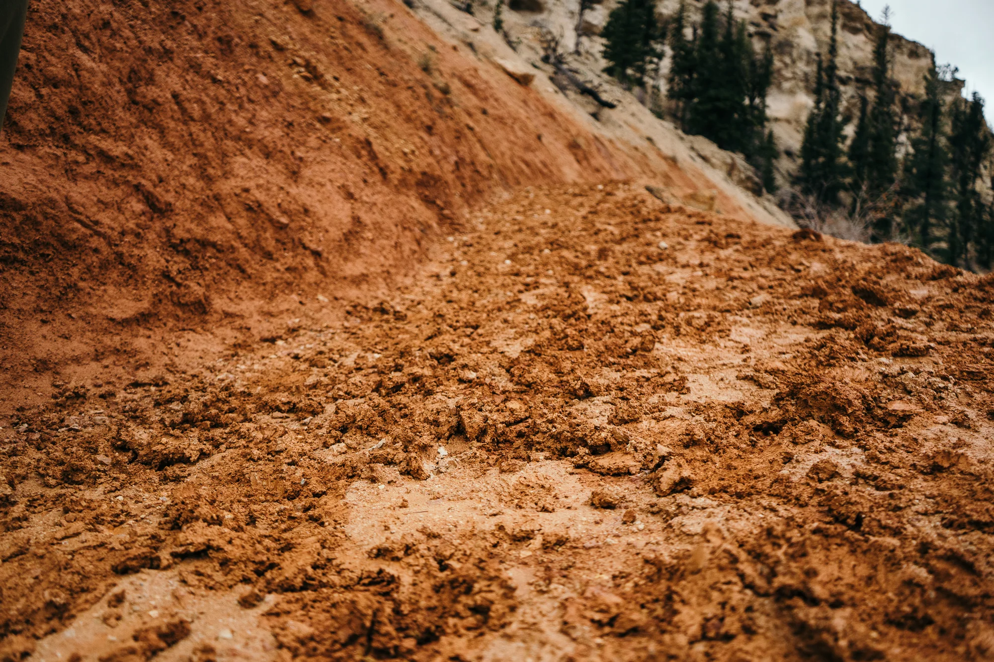 Bryce-05949.jpg