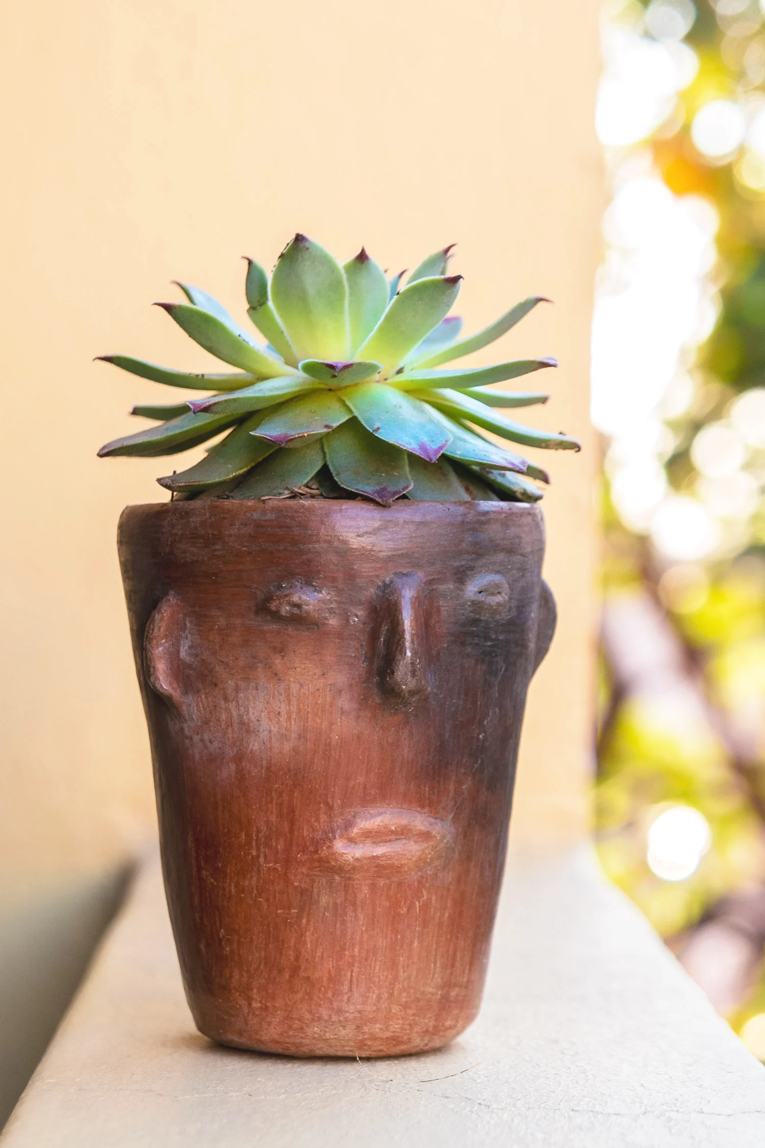 barro rojo clay pot with face