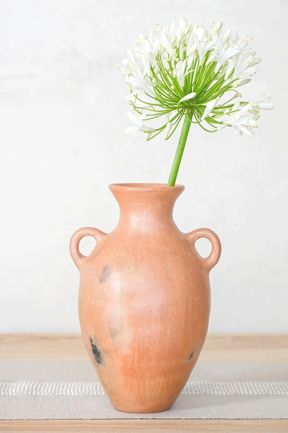 Pit fired Oaxacan mexican pottery vase