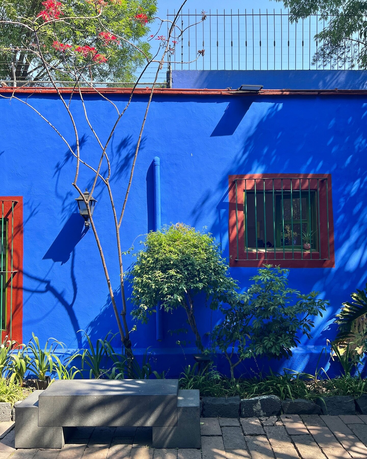 The perfect blue at Museo de Frida Kahlo. And notice the terra cotta and green accents. ✨✨

I just completed my 11th trip to Mexico City. Obviously, I think it&rsquo;s very interesting with its many museums, great restaurants, parks, and shopping. 

