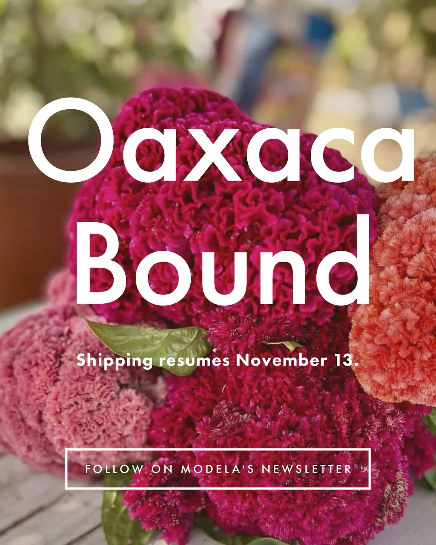 I&rsquo;m off to Oaxaca to pick up orders and source for the holidays. Returning November 12 with lots of Oaxacan pottery, candles, ornaments and textiles for you. 😊