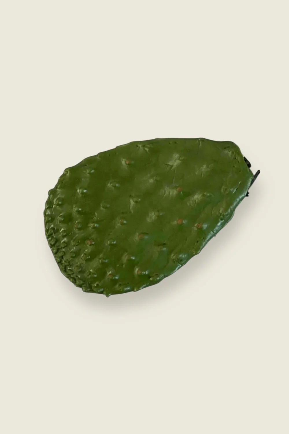 nopal plastic coin purse