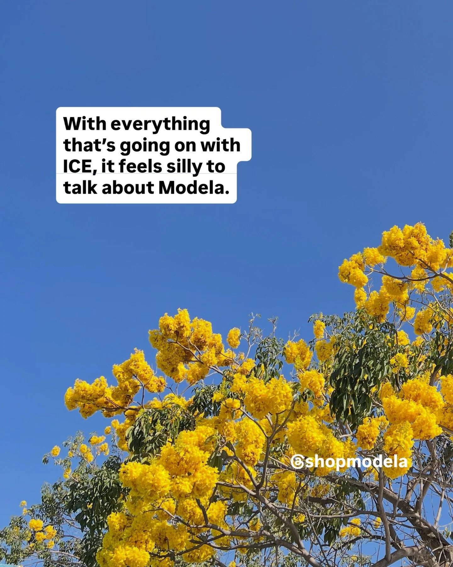 Stay safe! I&rsquo;ll be following all the news from Oaxaca.
Let me know if you have specific handwoven Oaxacan textiles, pottery, candles, etc you&rsquo;d like me to get for you. 🌸