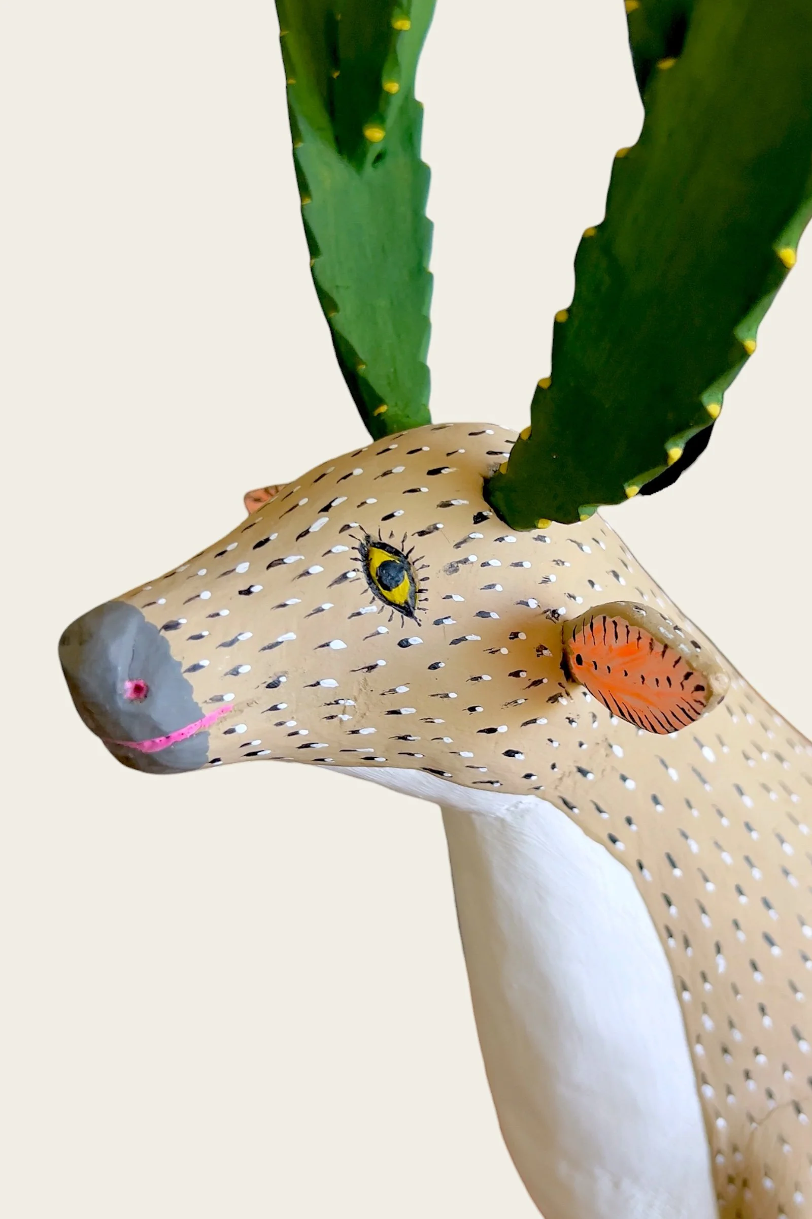 close up of Gabino Reyes deer