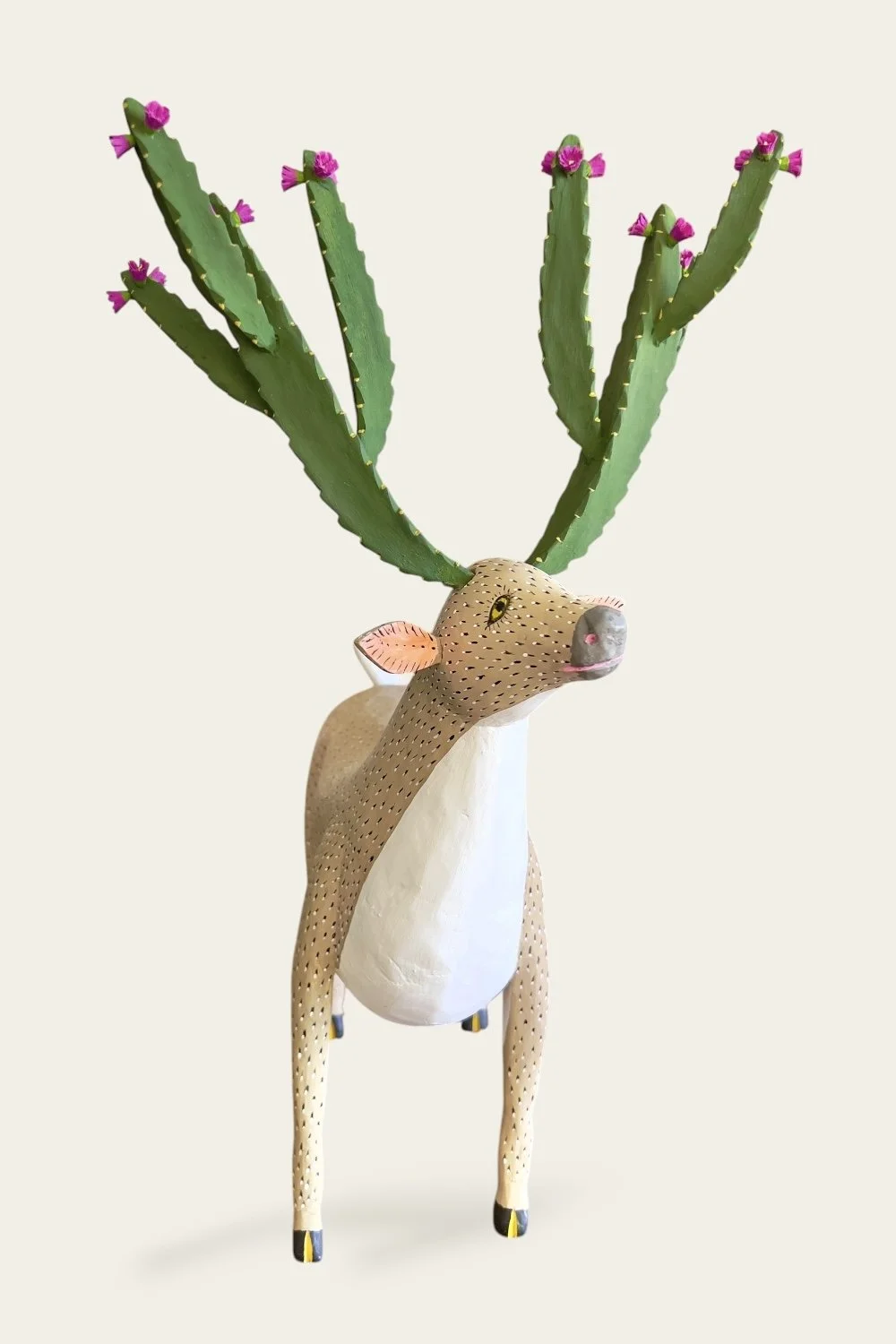 Photoroom_20261004_201533.jpeg