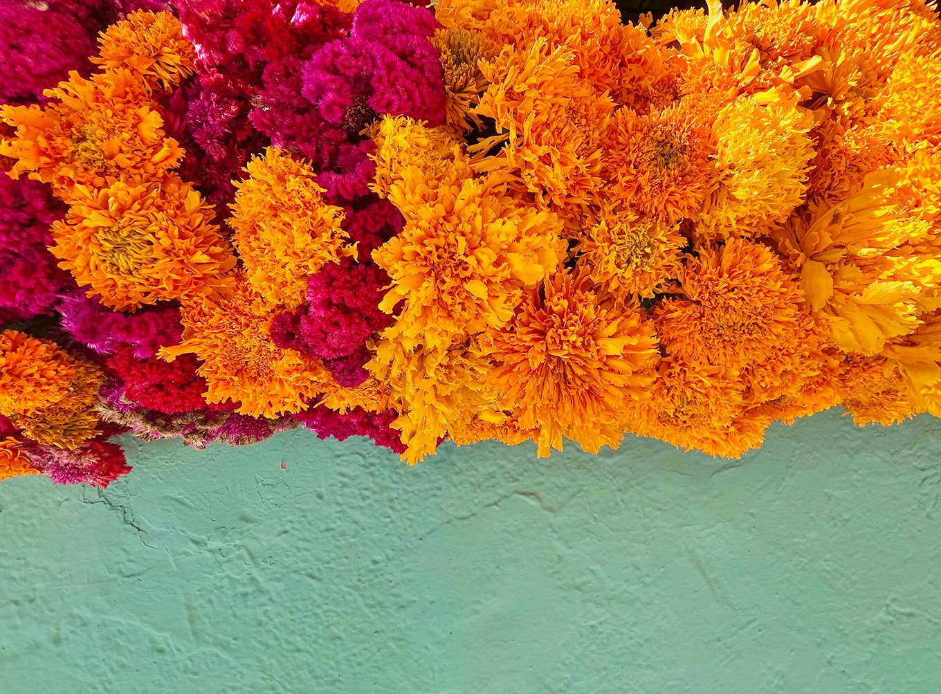 cover photo fall 26.jpg