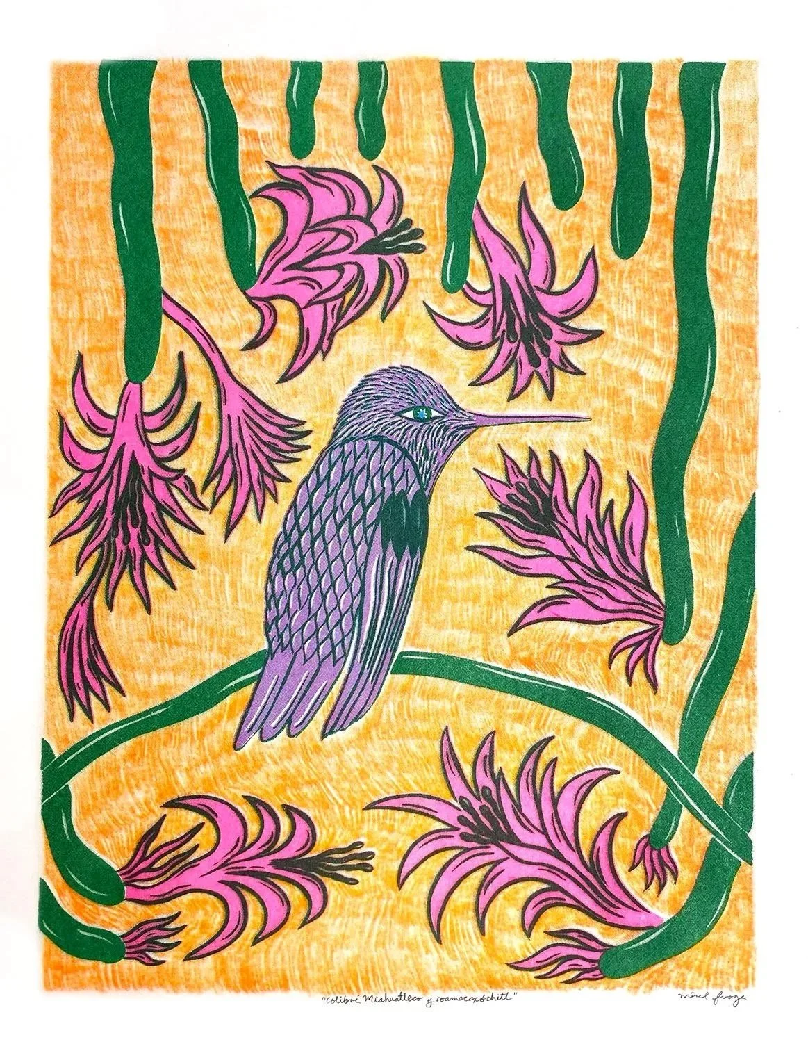 Mirel Fraga hummingbird print
