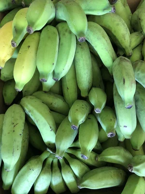 Apple Banana, Dehydrated, 4oz — Sweet Cane Cafe