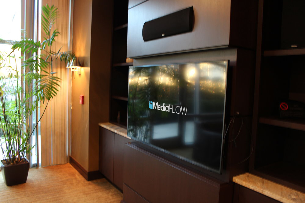 Media room TVs