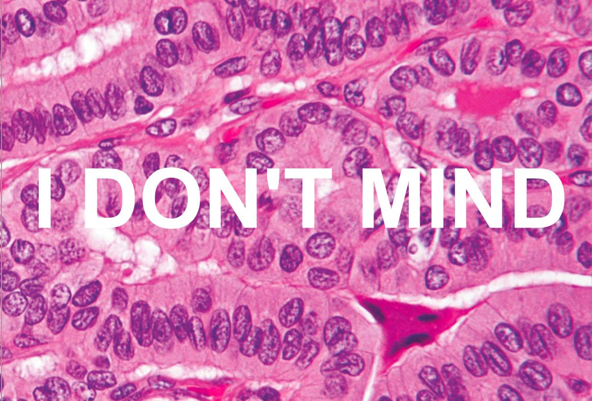 IDONTMIND.jpg