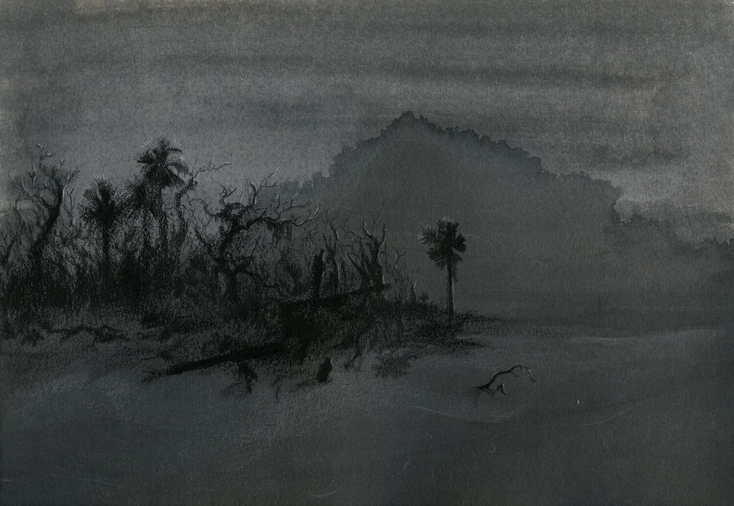 Copy of Faran_Riley_Little_Tybee_I_jpeg.jpg