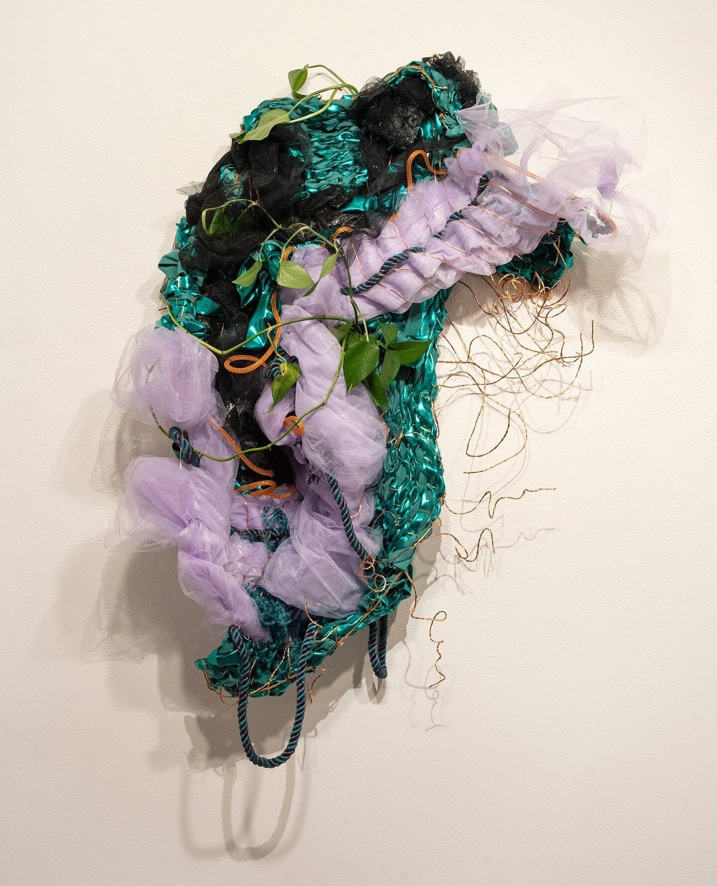 Gabrielle Torres: &quot;Bitches Brew&quot; @get.arttorres⁠
Fabric, wire, and Golden Pothos⁠
2023⁠
⁠
On display in &quot;Wilton Street Rhythm&quot; through April 13th - stop by during our regular open hours (Thurs - Sun, 12 - 5PM), or browse the entir