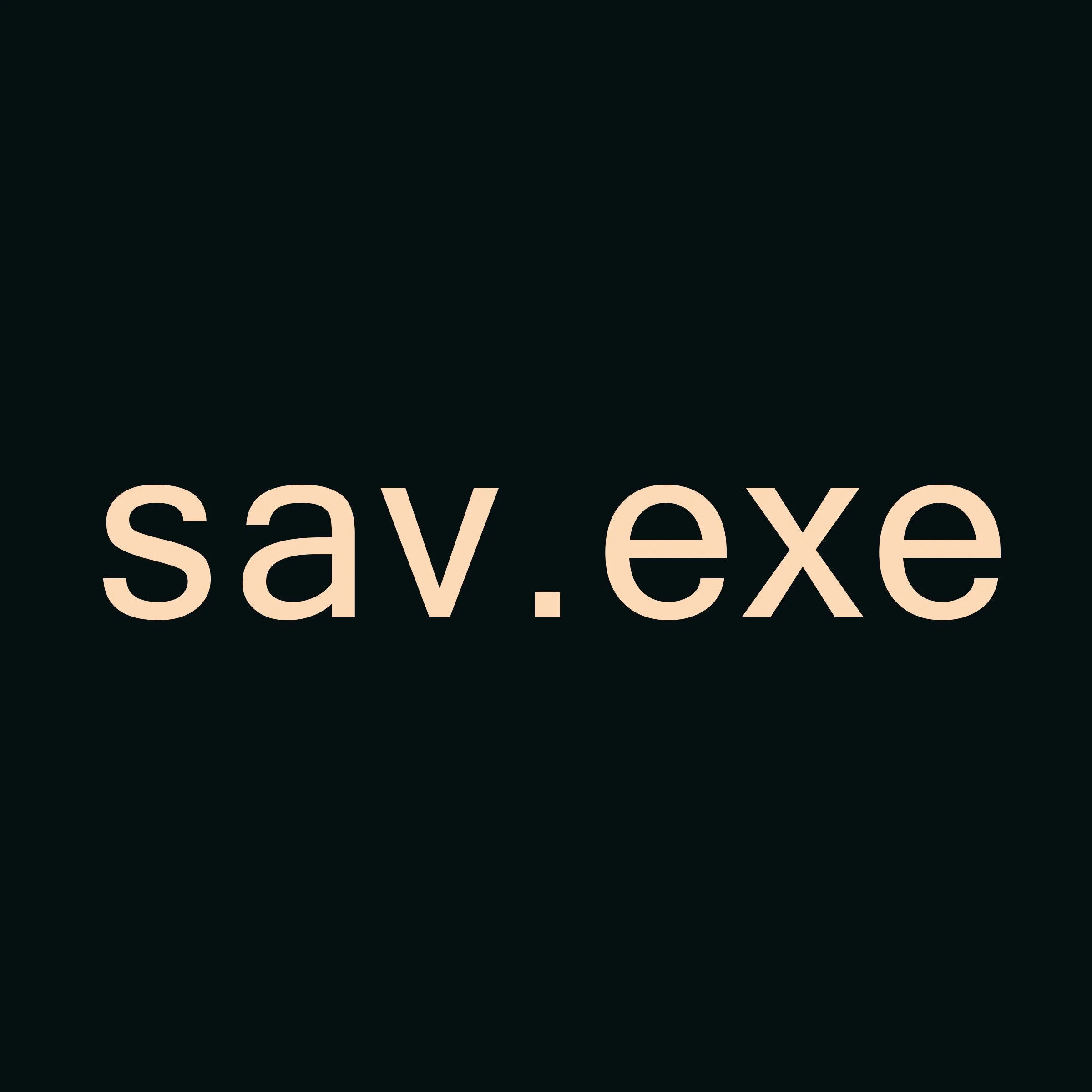 Curator/Artist Talk &amp; Walk: "sav.exe"